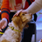 Wildlife Drawing- Therapy Dogs